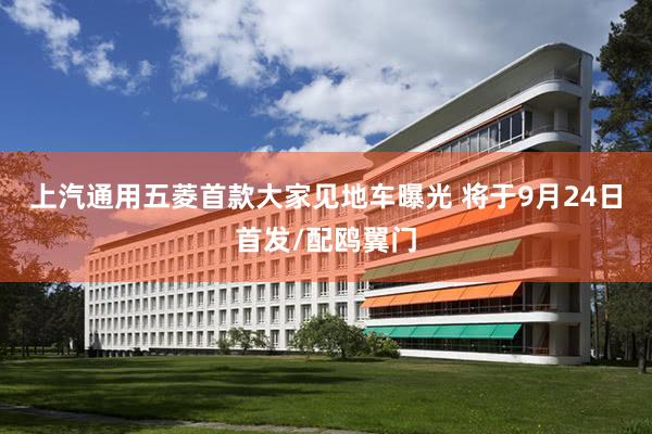 上汽通用五菱首款大家见地车曝光 将于9月24日首发/配鸥翼门