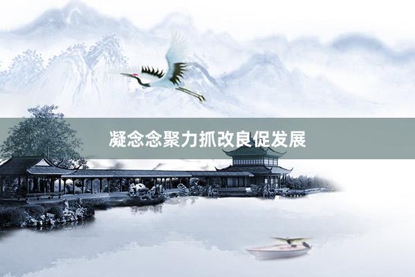 凝念念聚力抓改良促发展