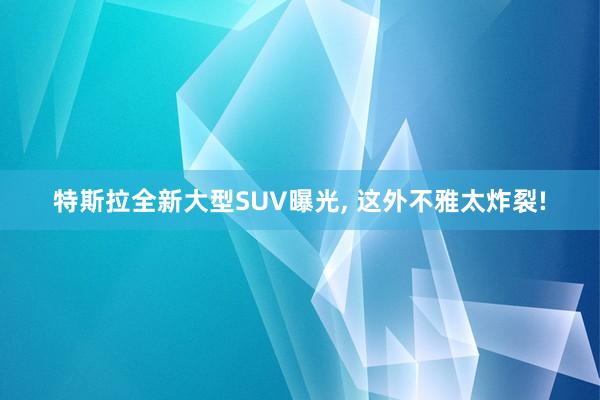 特斯拉全新大型SUV曝光, 这外不雅太炸裂!
