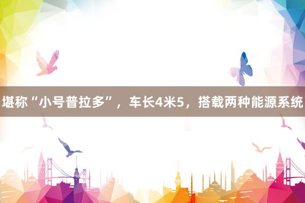 堪称“小号普拉多”，车长4米5，搭载两种能源系统