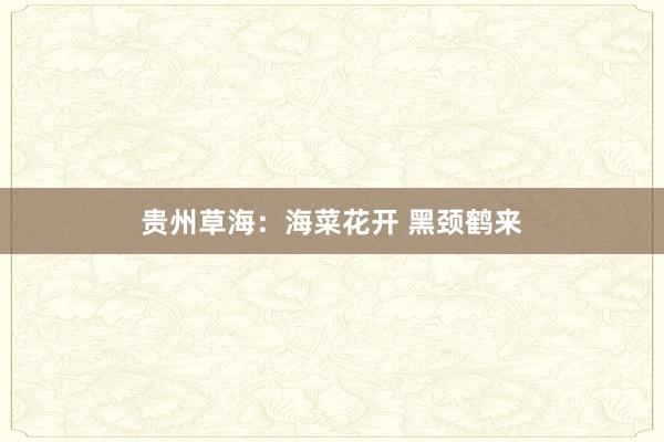 贵州草海：海菜花开 黑颈鹤来