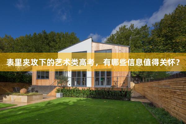 表里夹攻下的艺术类高考，有哪些信息值得关怀？