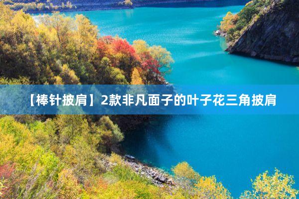 【棒针披肩】2款非凡面子的叶子花三角披肩