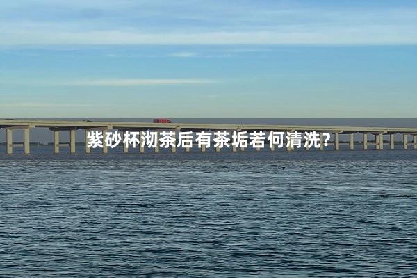 紫砂杯沏茶后有茶垢若何清洗？