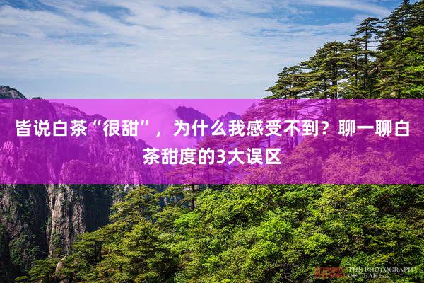 皆说白茶“很甜”，为什么我感受不到？聊一聊白茶甜度的3大误区